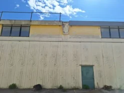 #2537056 Capannone D/8 Commerciale/Logistico