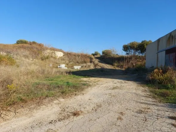 #11164 Capannone E con terreni attigui di 8.670 mq