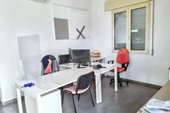 #25659 Capannone industriale con area pertinenziale