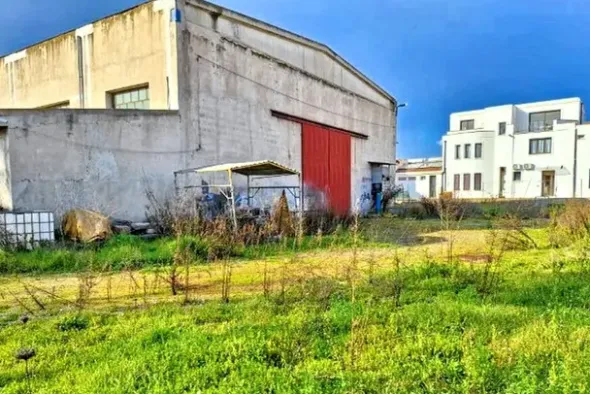 #25659 Capannone industriale con area pertinenziale