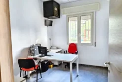 #25659 Capannone industriale con area pertinenziale