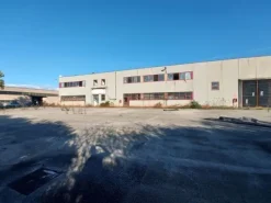 #14721 Capannone industriale con aree di pertinenza