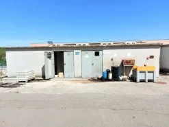 #14738 Capannone industriale con area di pertinenza