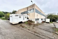#24755 Capannone industriale con area pertinenziale