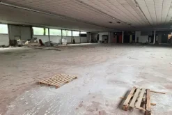 #24755 Capannone industriale con area pertinenziale