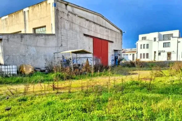 #25659 Capannone industriale con area pertinenziale