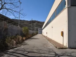 #14725 Capannone industriale con area di pertinenza