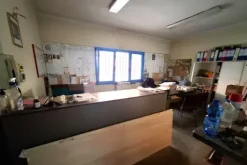 #2639302 Capannone industriale con pertinenze
