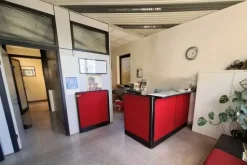 #2639302 Capannone industriale con pertinenze