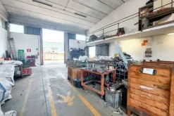 #23741 Capannone industriale e ramo d'azienda