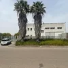 #26290 Capannone in zona di alta visibilità
