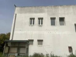 #26290 Capannone in zona di alta visibilità