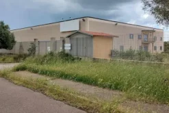 #14867 Capannone logistico con uffici e piazzale