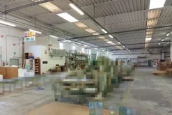 #17972 Capannone produttivo con cabina elettrica