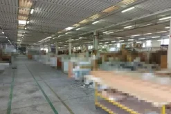 #17972 Capannone produttivo con cabina elettrica