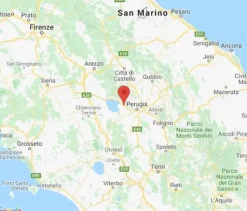 #8895 Capannone showroom con palestra e area edificabile