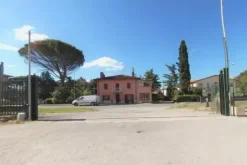 #8895 Capannone showroom con palestra e area edificabile