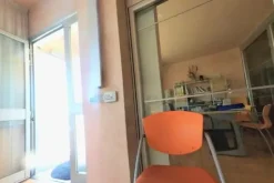 #8895 Capannone showroom con palestra e area edificabile