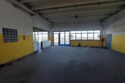 #25773 Capannone su due livelli con ampia area esterna
