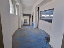 #2639732 Capannoni a Giffoni Sei Casali