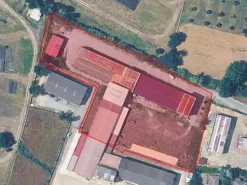 #2639752 Capannoni con uffici, piazzali e terreno pertinenziale