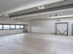 #2537510 Capannoni industriali con ufﬁci ad Altopascio