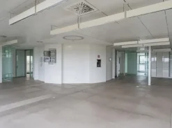 #2537510 Capannoni industriali con ufﬁci ad Altopascio