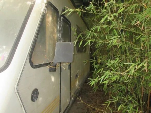 2#6535 Caravan Fiat