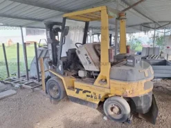 19#10019 Carrelli elevatori