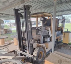 19#10019 Carrelli elevatori