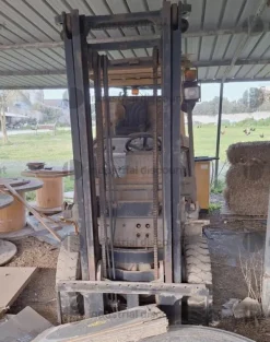19#10019 Carrelli elevatori