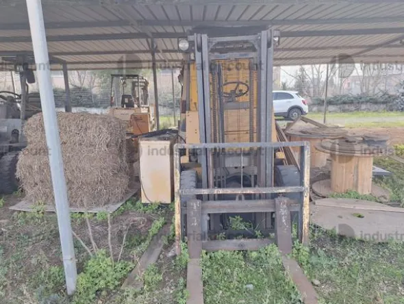 18#10019 Carrelli elevatori
