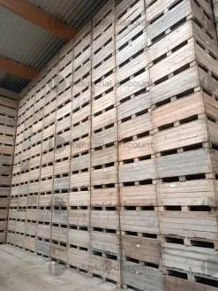 1#9254 Casse di legno