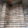 6#9254 Casse di legno