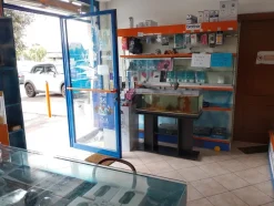 Cedo Ramo Azienda