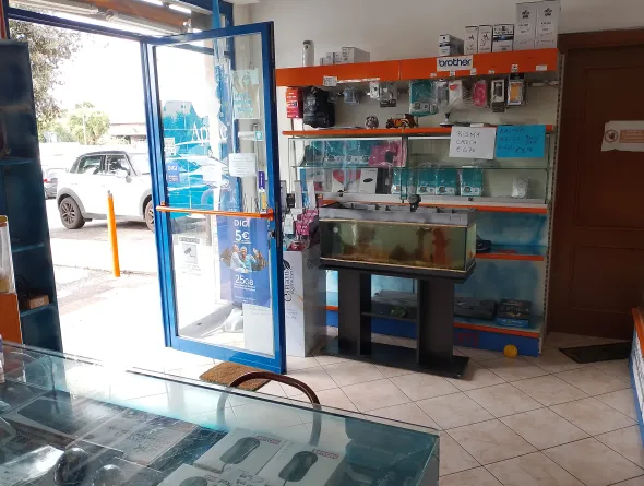 Cedo Ramo Azienda