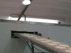 1#639 Cella di lievitazione con nastro trasportatore
