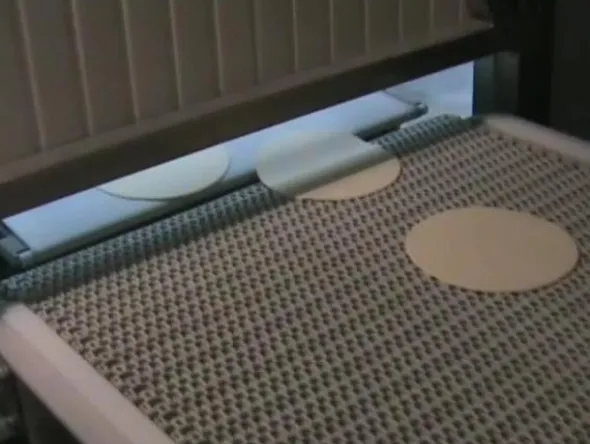 1#639 Cella di lievitazione con nastro trasportatore