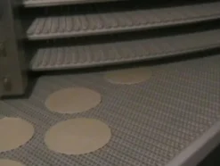 1#639 Cella di lievitazione con nastro trasportatore