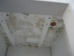17#2983 Cella di lievitazione Tecnomac