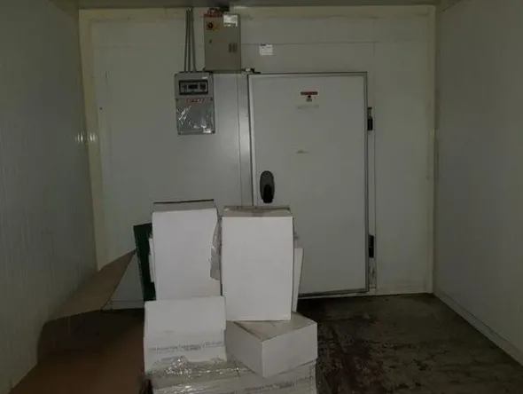1#3302 Cella frigo Tecnoservice