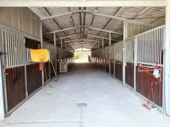 #15015 Centro ippico di 72.340 mq