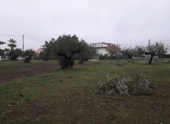 Cepagatti (PE) terreno edificabile in vendita.