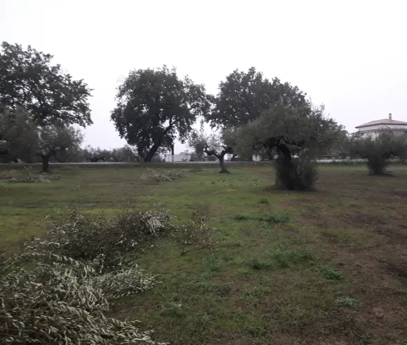 Cepagatti (PE) terreno edificabile in vendita.