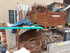 1#8040 Cessione azienda edile