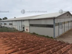 1#9399 Cessione del compendio aziendale dedito alle attività nel settore dei prodotti ortofrutticoli