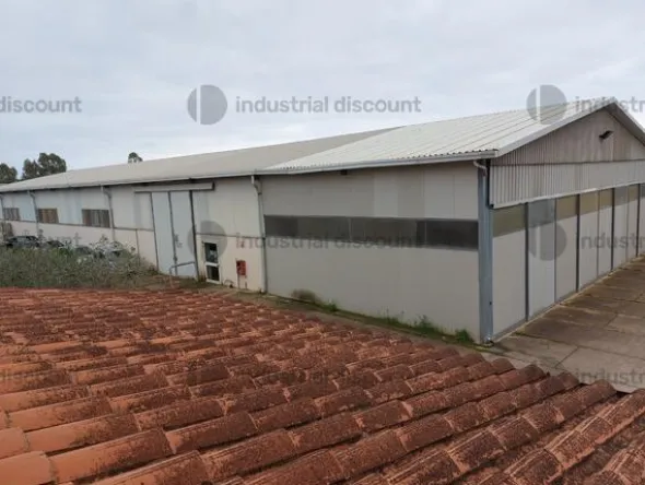 1#9399 Cessione del compendio aziendale dedito alle attività nel settore dei prodotti ortofrutticoli