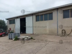 1#9399 Cessione del compendio aziendale dedito alle attività nel settore dei prodotti ortofrutticoli