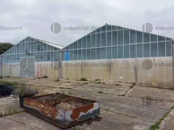 1#9399 Cessione del compendio aziendale dedito alle attività nel settore dei prodotti ortofrutticoli