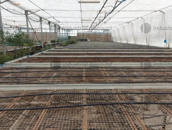 1#9399 Cessione del compendio aziendale dedito alle attività nel settore dei prodotti ortofrutticoli